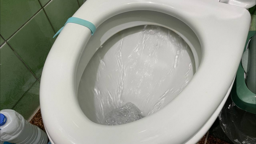    Автор фото - Анна Ефимова