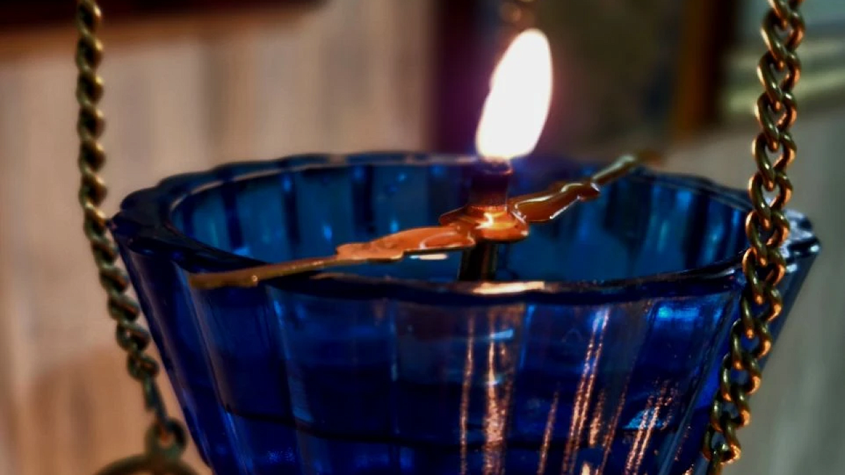    Фото: телеканал «Краснодар»