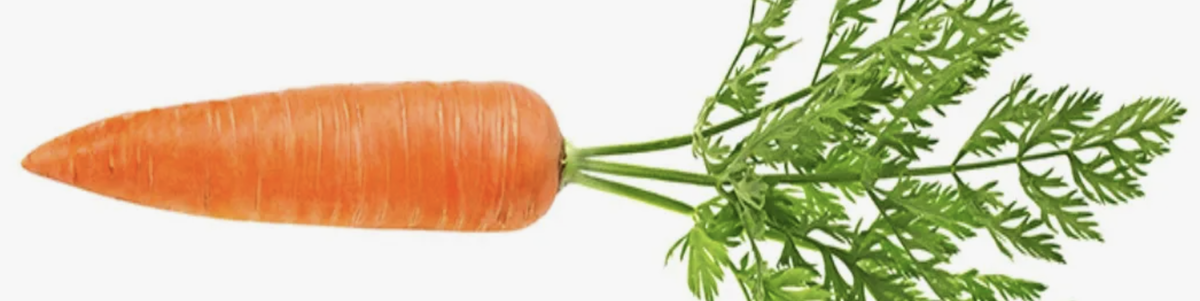 морковь источник YouTube