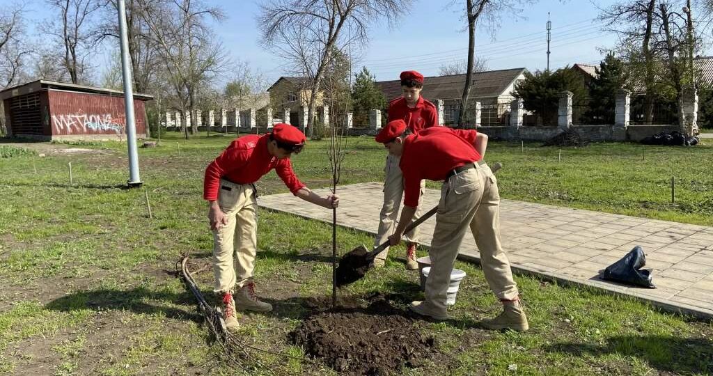 В донецком парке высадили новые липы и можжевельники