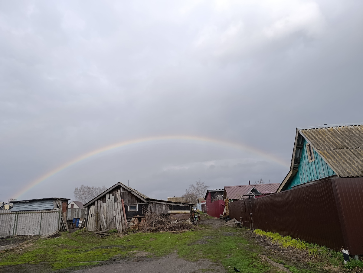 Фото автора.18.04.2026.