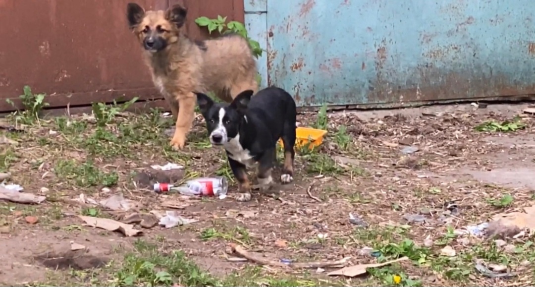 Тоша и Женек ♥️