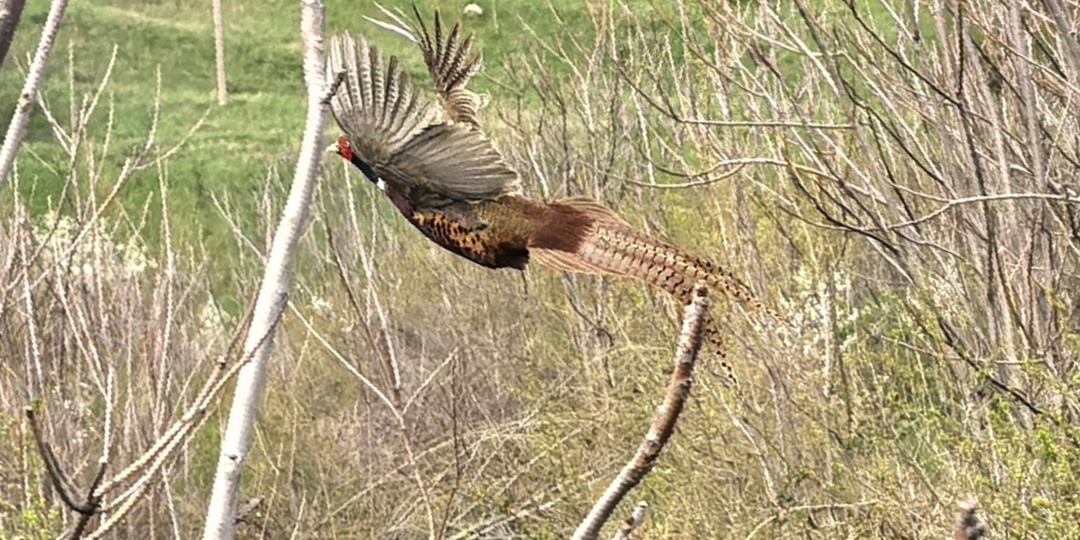 Субботний отдых