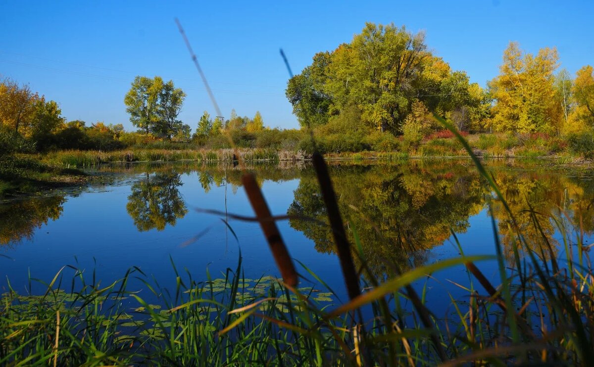    Фото: Олег Рукавицын.