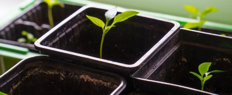 Синоптик пояснила, чем опасен ранний дачный сезон