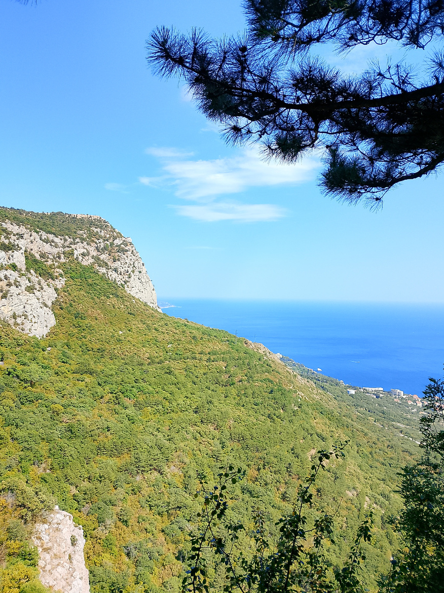 Соколиная высь