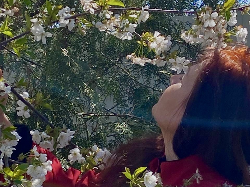 Весенний сад