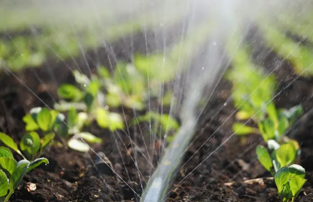 Источник фото: shutterstock.7eer.net