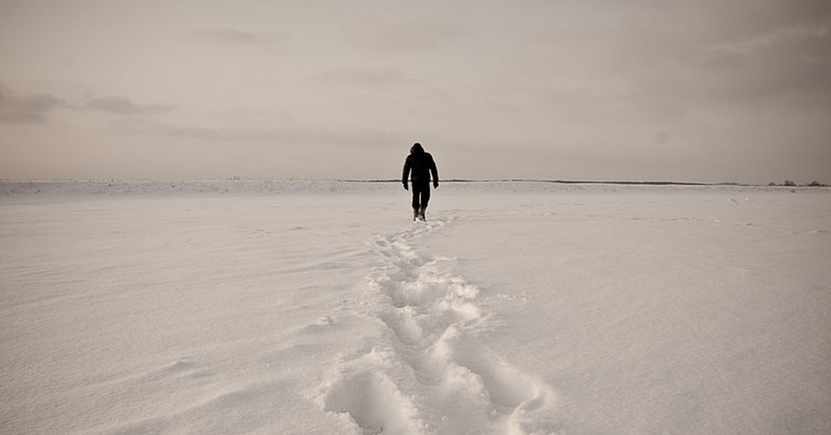 Источник: pikabu.ru