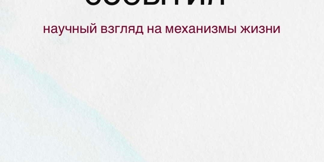 Мы не «притягиваем» события: взгляд психолога МГУ на реальные механизмы жизни.