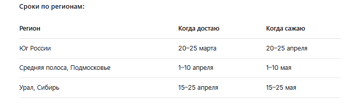 Когда доставать гладиолусы весно