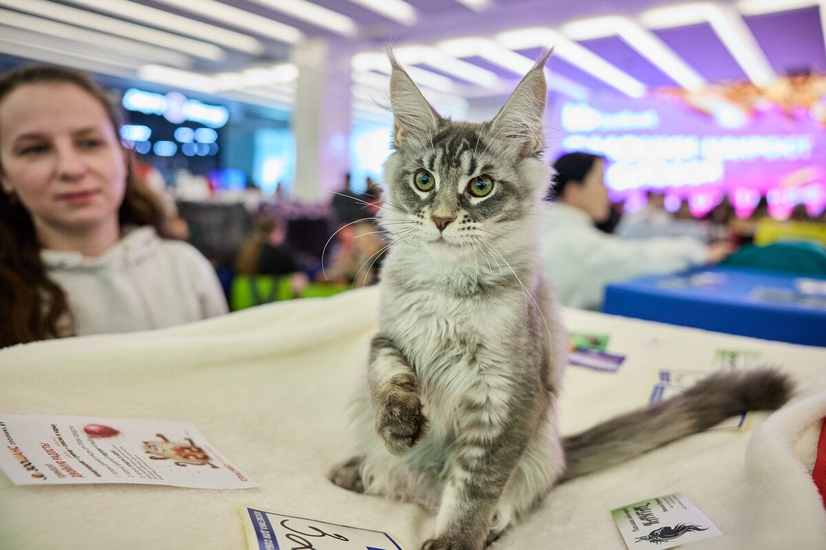  Фото: Алексей Матюшков, Times.by