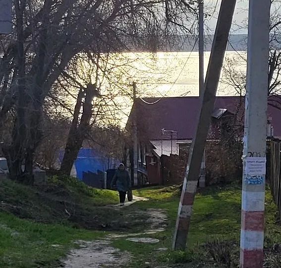 Два дня отдыха.Сходила на концерт Шамана и съездила в деревню