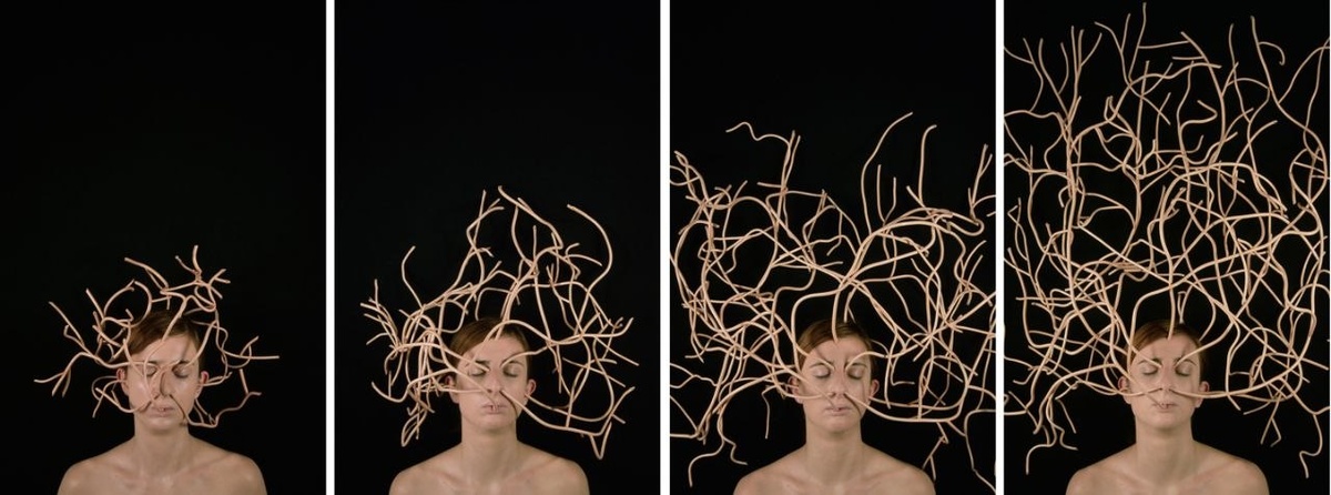 Соледад Кордоба «Укоренение» 2003 г.