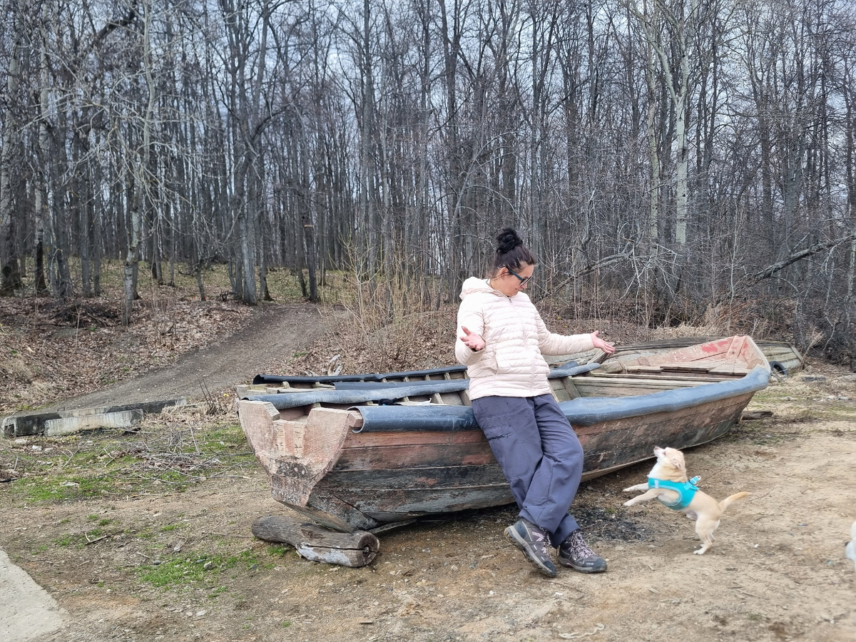 Разрез Сланцевый рудник, Ульяновская обо