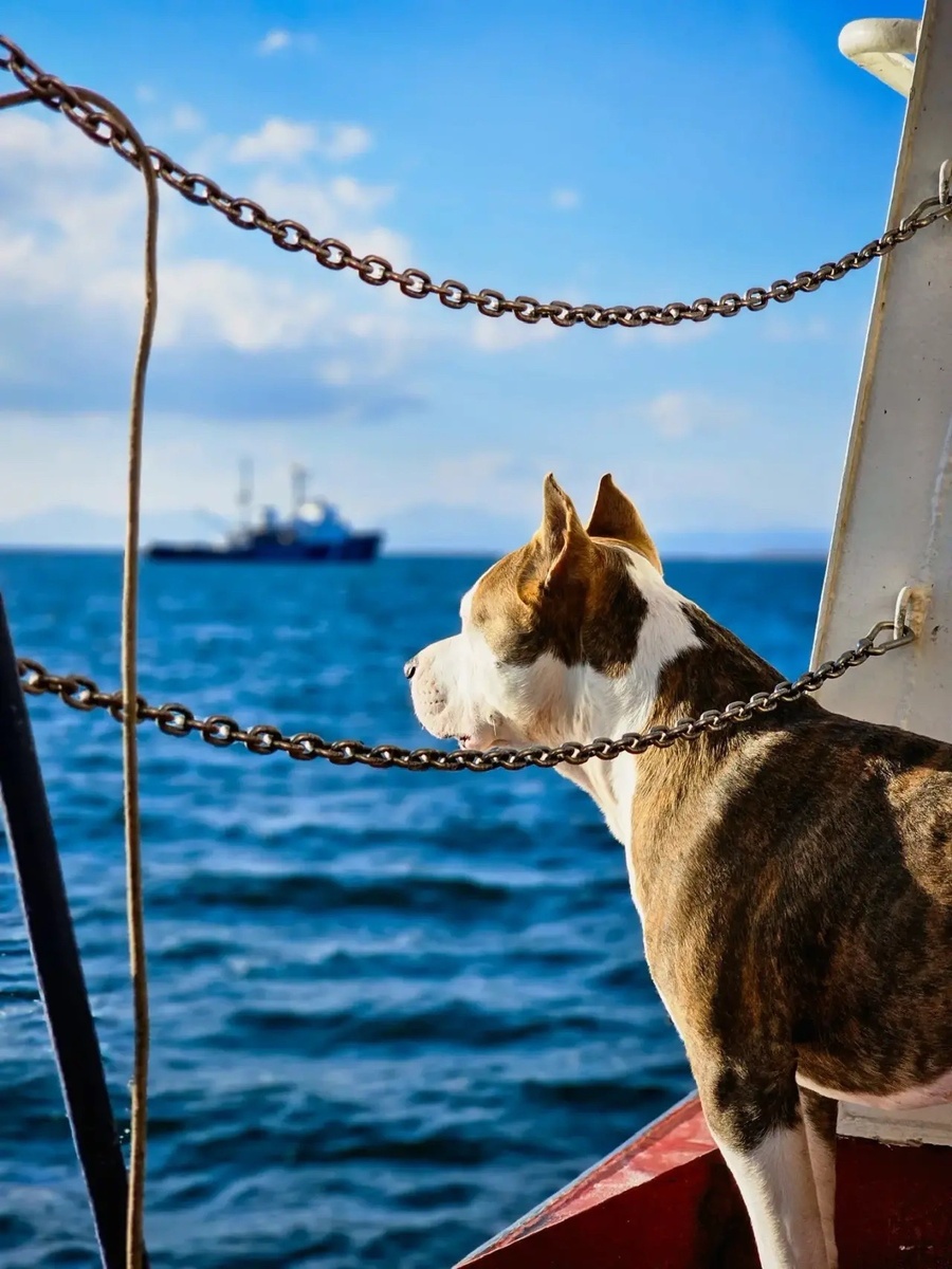 Ральф наслаждается отпуском. По всей видимости, жизнь его хороша
