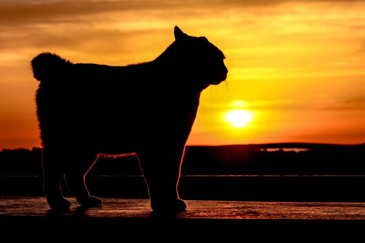     / Источник: © Юрий Смитюк/ТАСС