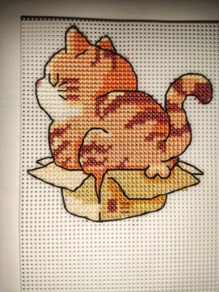 Фото автора, 4 апреля 2026 года