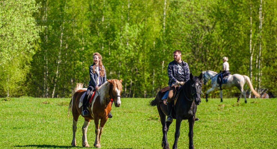    Медиасток.рф