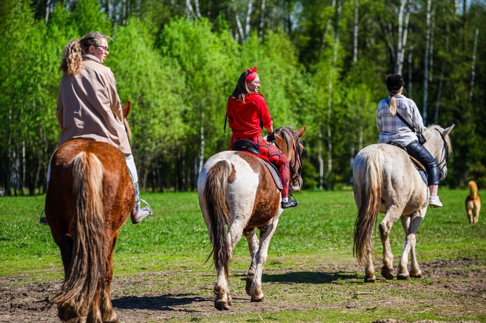    Медиасток.рф