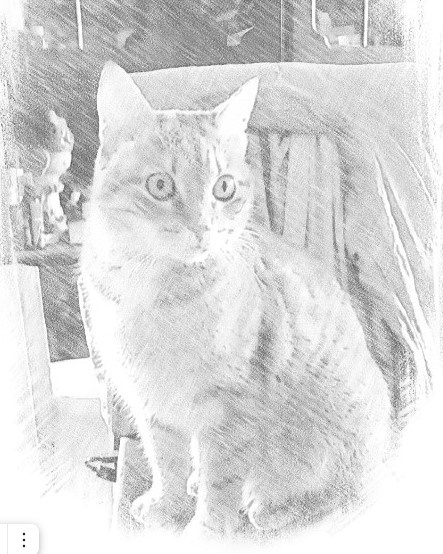 личное  фото