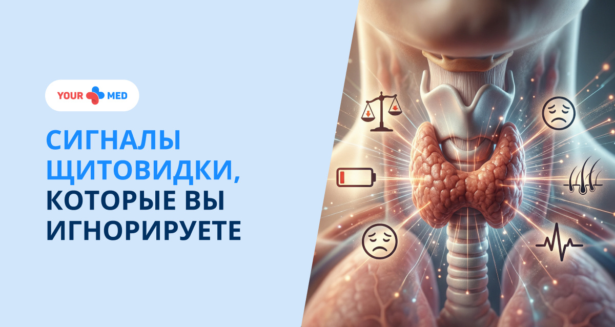 Усталость, набор веса, тревожность и выпадение волос — не всегда стресс. Разбираем сигналы, которые подаёт щитовидная железа.
