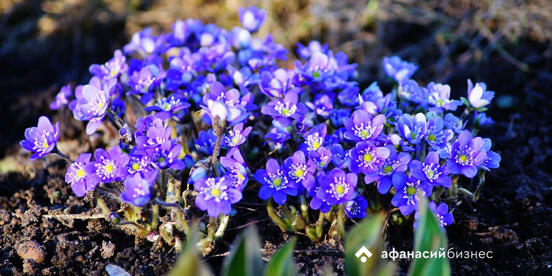 Погоду в Твери сегодня определяет холодный атмосферный фронт