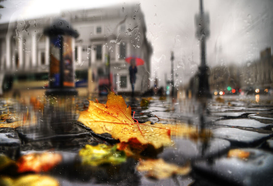 Работа фотохудожника Эдуарда Гордеева. Петербургская осень