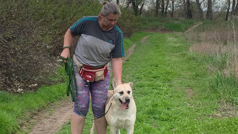 Довольный Беляш❤️❤️И недовольная я😂🤦 Еле живая после прогулок ( читаем пробежек )) с Беляшиком и Ричиком