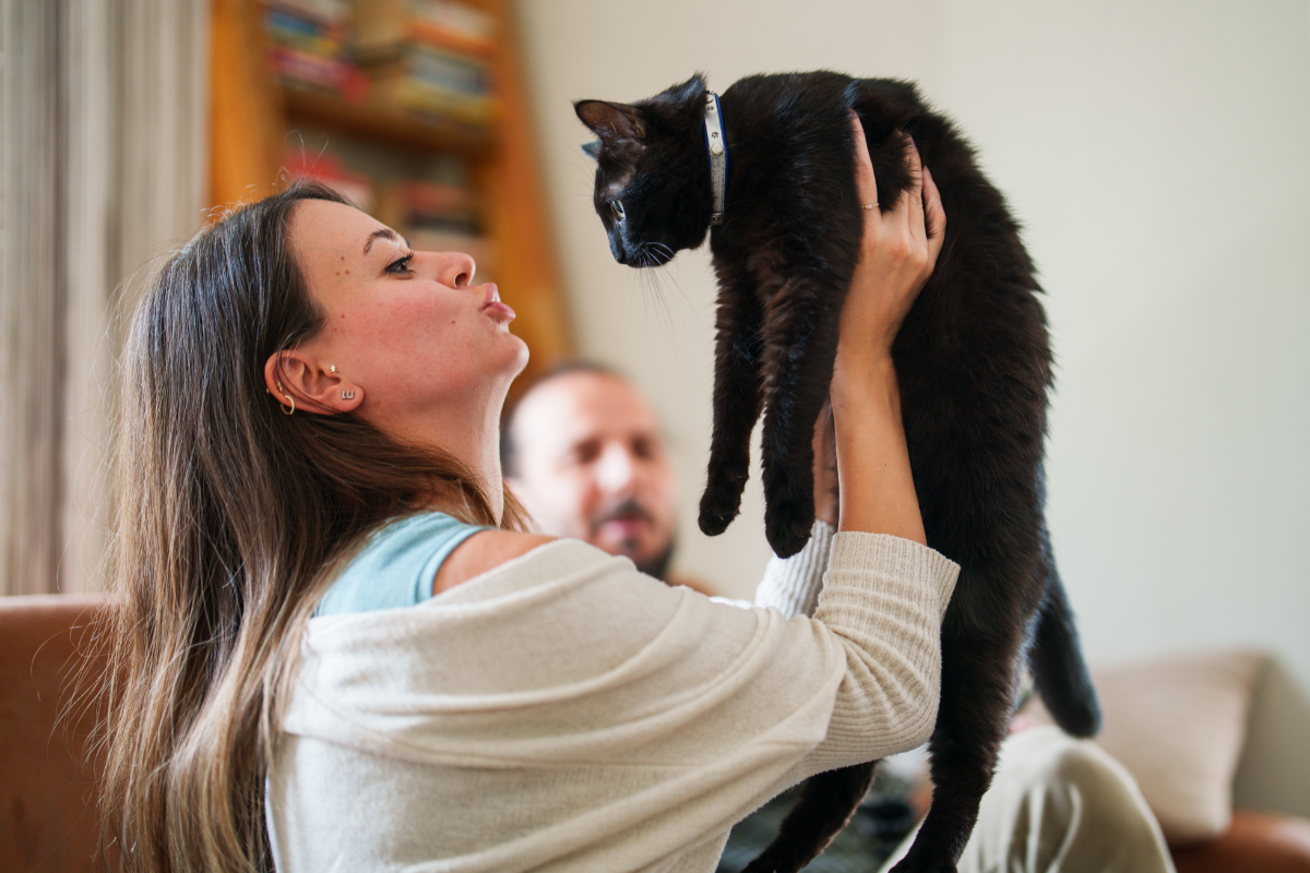 Понимает ли кошка, что её любят