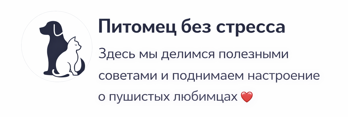 Приветствую, дорогой читатель!