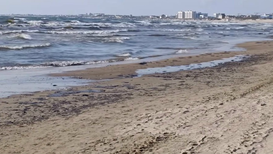 Автор фото: Prt Scr youtube.com / Сибирские Анапчане