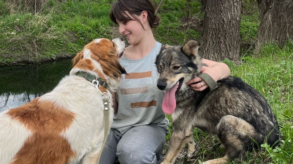 Самые лучшие психотерапевты приюта ждут Вас на сеансы счастья