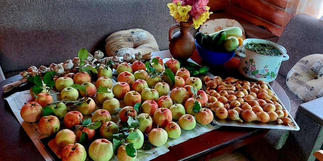 "Во саду ли, в огороде". 19 апреля 2026 года