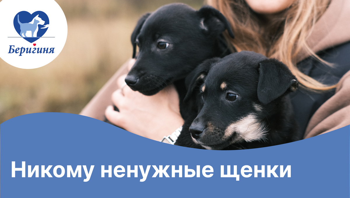 #берегиня_Тамми #берегиня_Тая