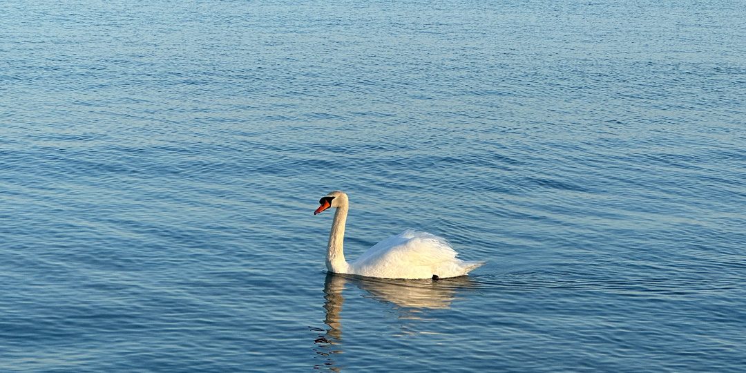 Вечер- как маленькая жизнь графомана
