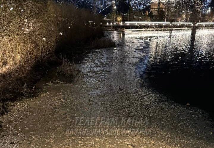    Фото: соцсети