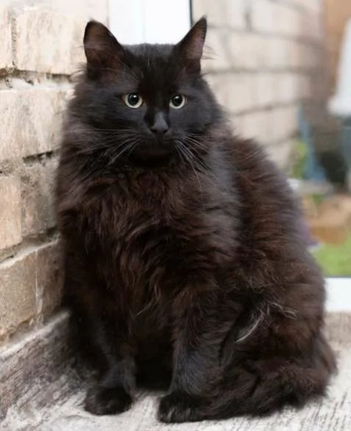 Фото из открытых источников.