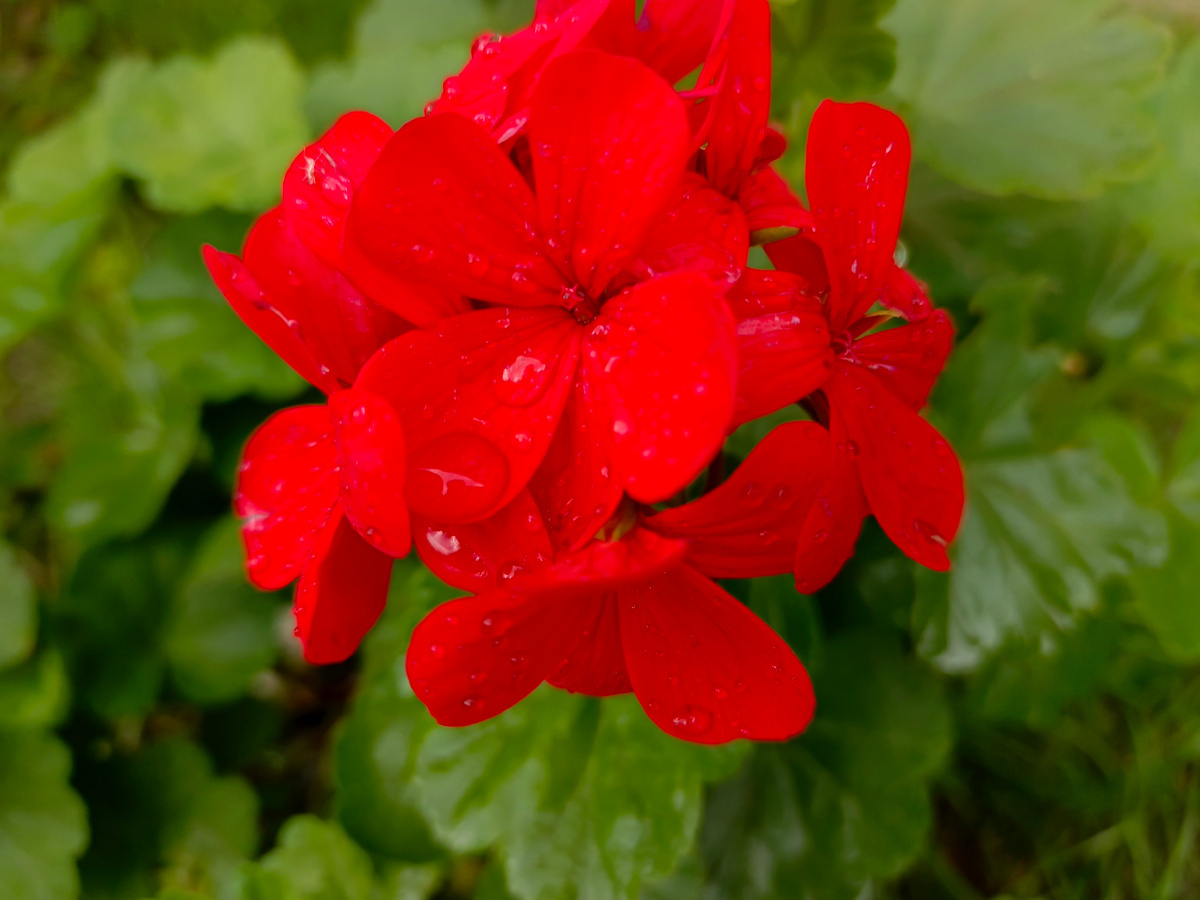 Адлер, апрель 2026 года