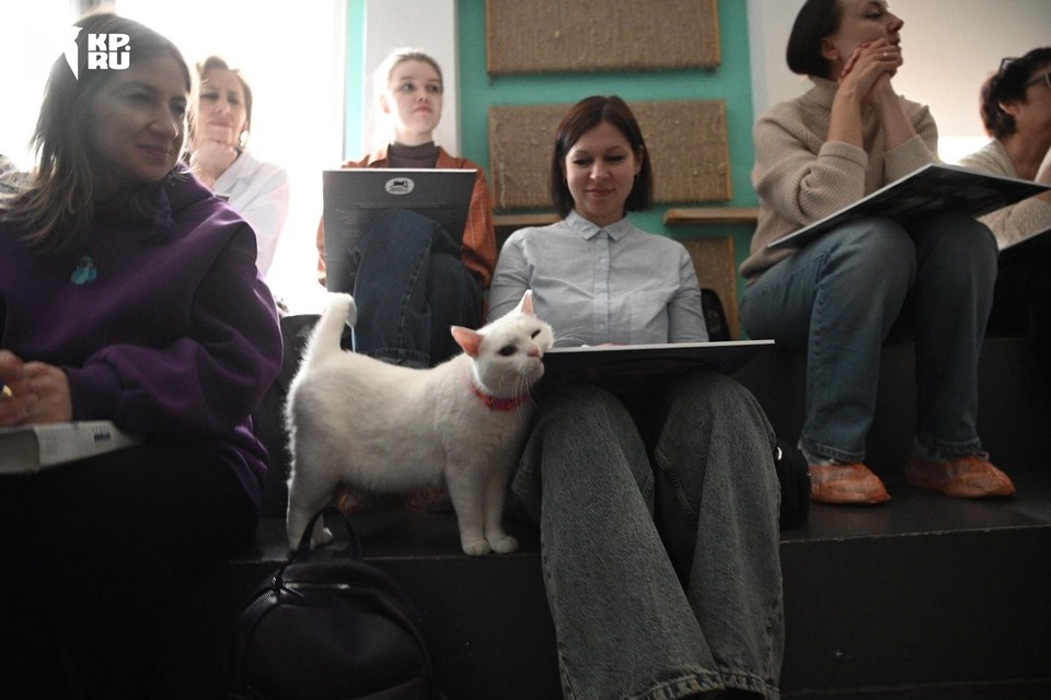    Гладь меня, а то подсказывать не буду! Алексей БУЛАТОВ