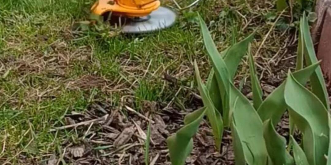 Аккумуляторный триммер