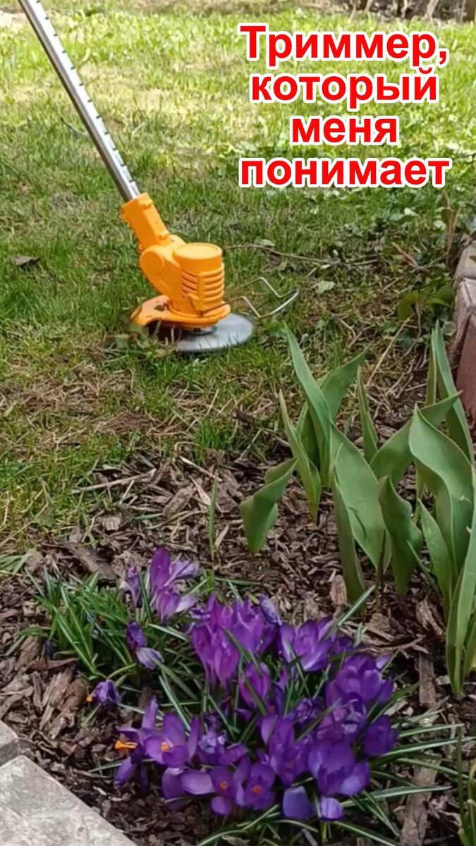 Аккумуляторный триммер