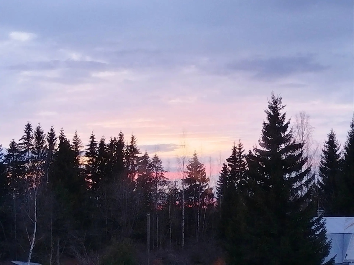 Розовый закат