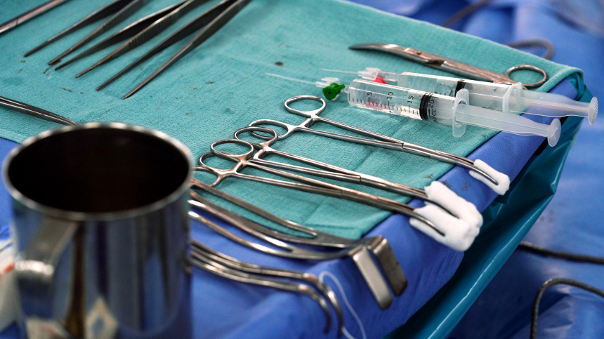    Фото: ИЗВЕСТИЯ/Анна Селина; 5-tv.ru