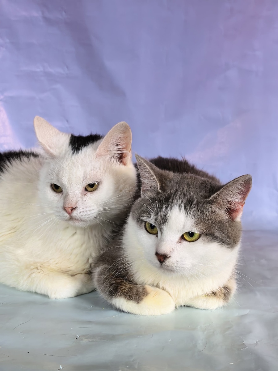 Взгляд у нее всегда немного с прищуром.