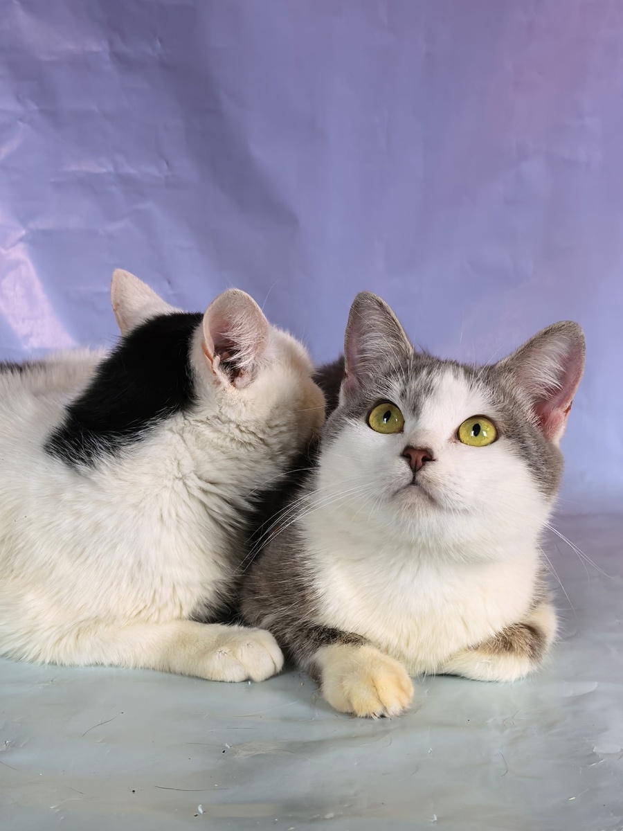 И шляпку никогда не снимает))