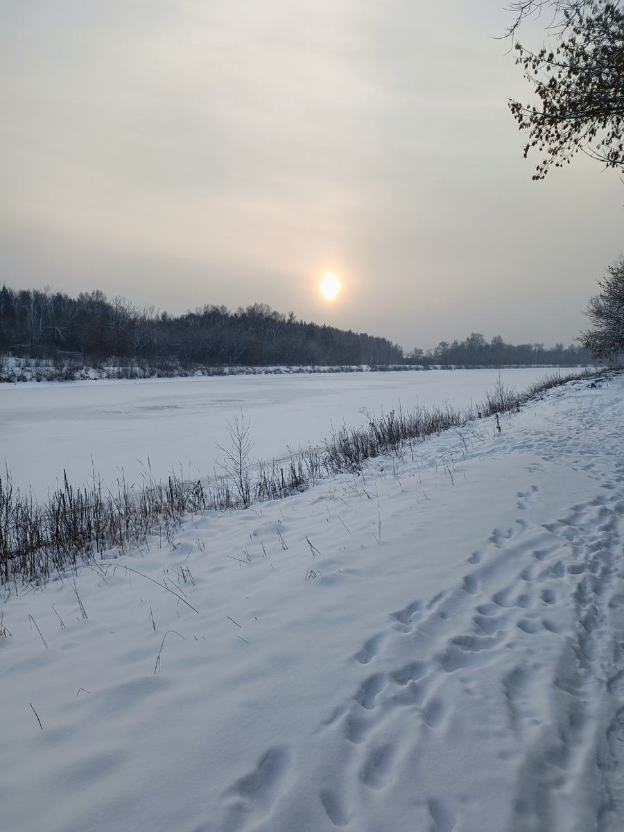 Подмосковье. Декабрь 2025. #фото автора