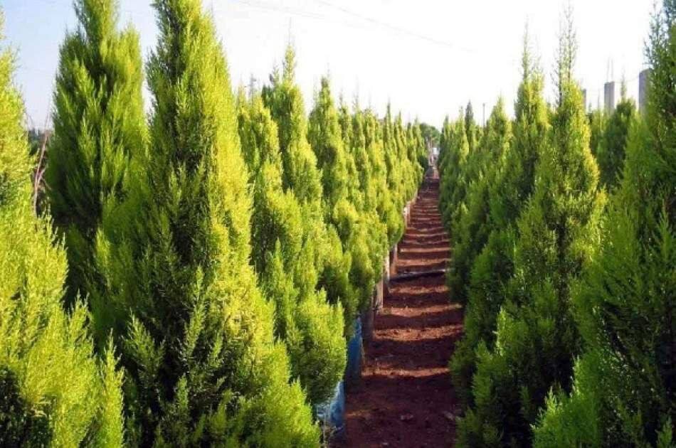 Фото: RadioFajar (РадиоФаджар)