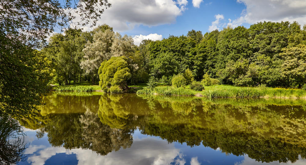 Журналист. Разговор с женой.