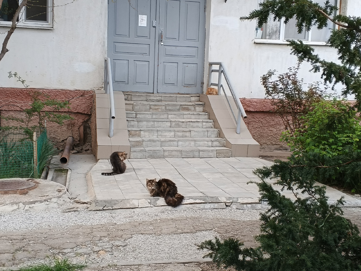 Фото Галины Малышевой.